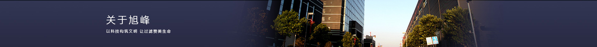 濾芯廠(chǎng)家